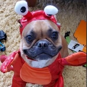 Meet your Posher, Rod